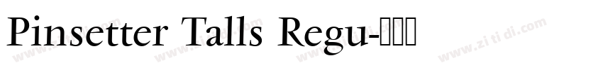 Pinsetter Talls Regu字体转换
